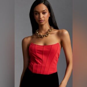 NWT By Anthropologie Strapless Seamed Top | Medium